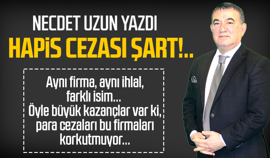 Necdet Uzun yazdı: Hapis cezası şart!..