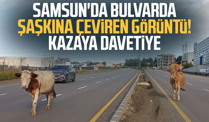 Samsun'da bulvarda şaşkına çeviren görüntü! Kazaya davetiye
