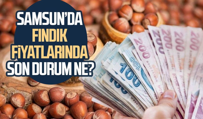 Samsun fındık fiyatları 21 Ekim 2026: İlçe ilçe güncel fiyatlar