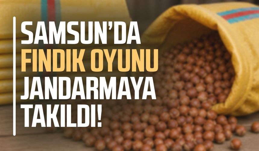Samsun’da fındık oyunu jandarmaya takıldı!