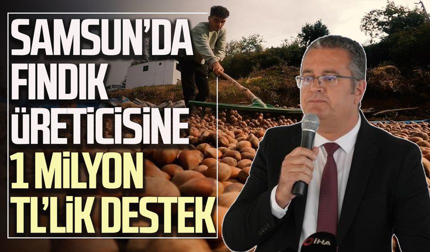 Samsun’da fındık üreticisine 1 milyon TL’lik destek