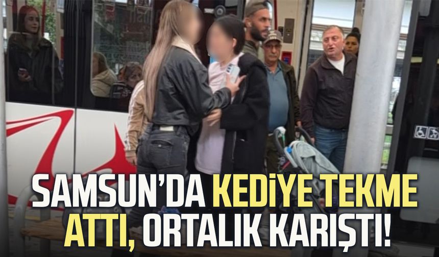Samsun’da kediye tekme attı, ortalık karıştı!
