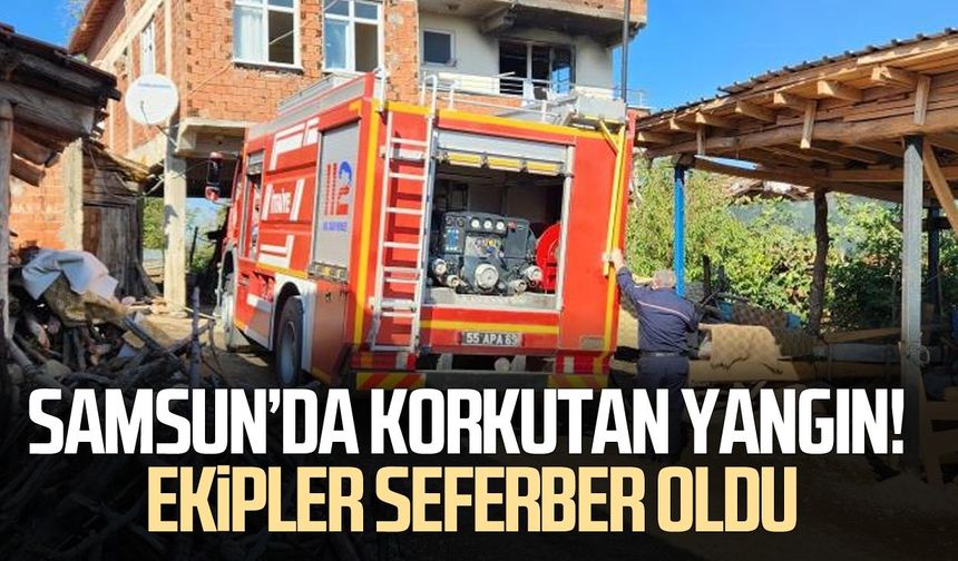 Samsun'da korkutan yangın! Ekipler seferber oldu