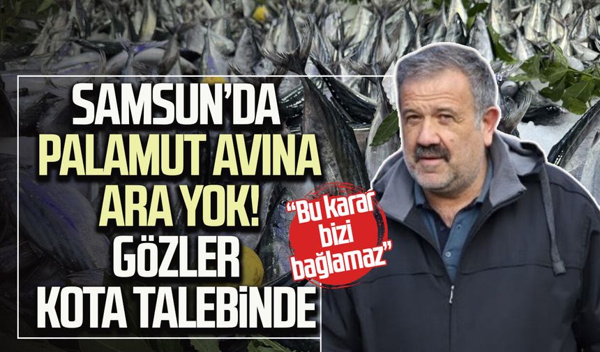 Samsun’da palamut için “ara” değil “kota” talebi