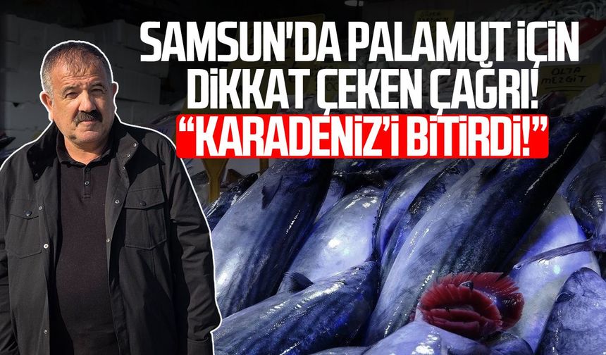 Samsun'da palamut için dikkat çeken çağrı! “Karadeniz’i bitirdi!”
