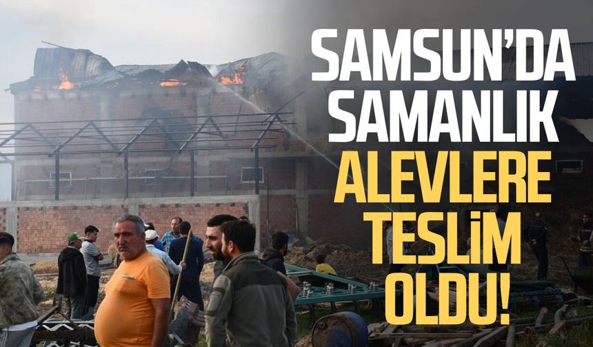 Samsun’da samanlık alevlere teslim oldu! 7 bin balya zarar gördü