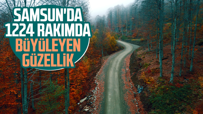 Samsun'da 1224 rakımlı Nebiyan Dağı, sonbahar renkleriyle ziyaretçilerini ağırlıyor.