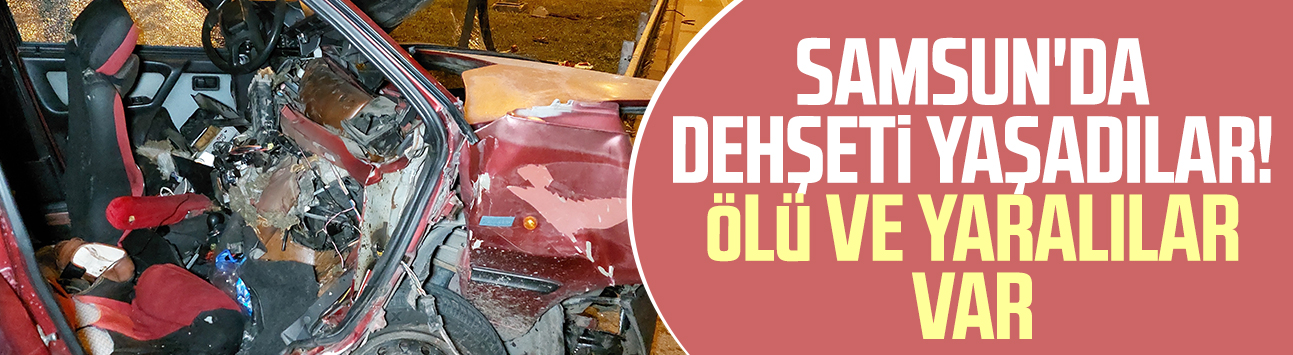 Samanlıklarına hırsız giren aile Samsun'da dehşeti yaşadı! Ölü ve yaralılar var