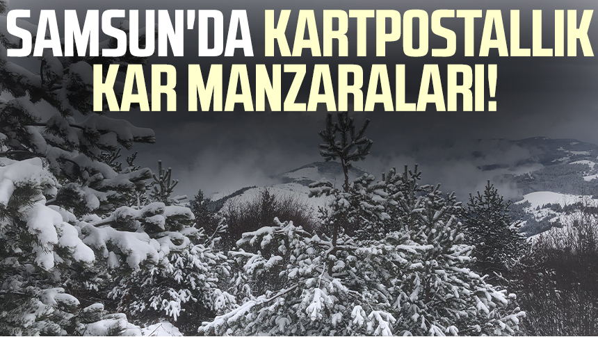 Samsun'da kartpostallık kar manzaraları!