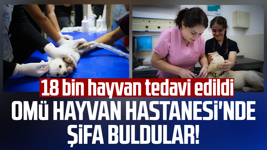 OMÜ Hayvan Hastanesi'nde şifa buldular! 6 ayda 18 bin hayvan tedavi edildi