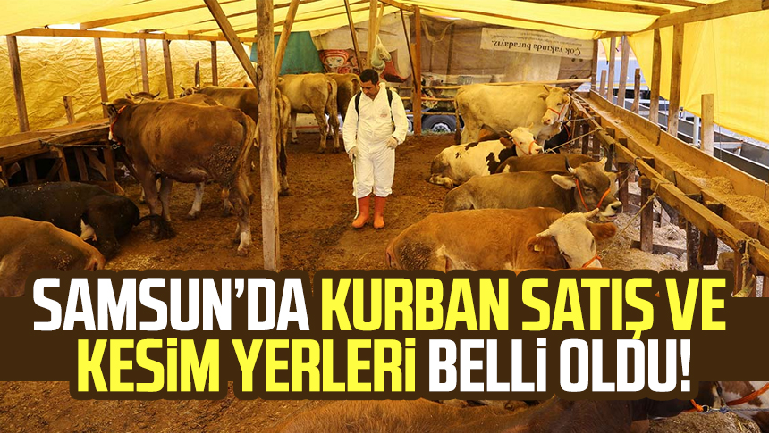 Samsun Kurban Satış Ve Kesim Yerleri Belli Oldu! 2024 Samsun Kurban ...