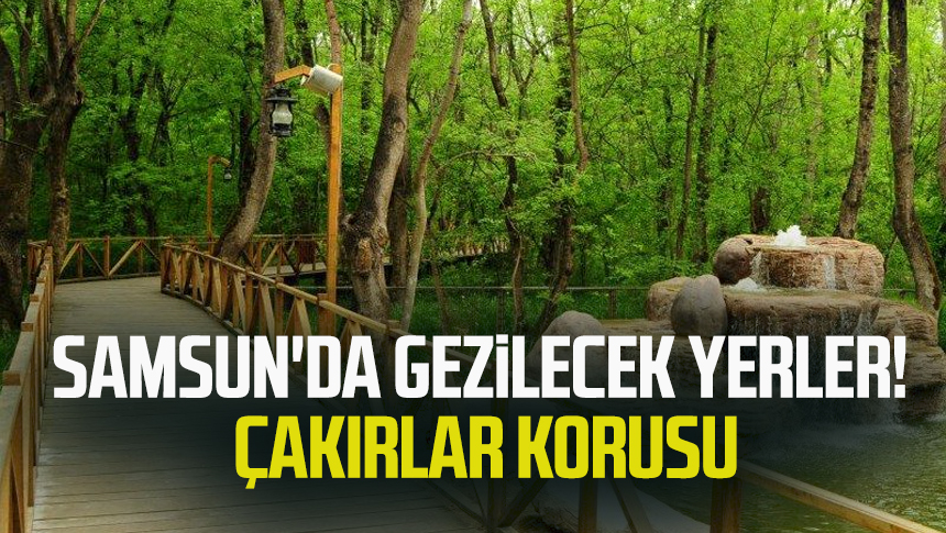 Samsun'da gezilecek yerler: Çakırlar Korusu