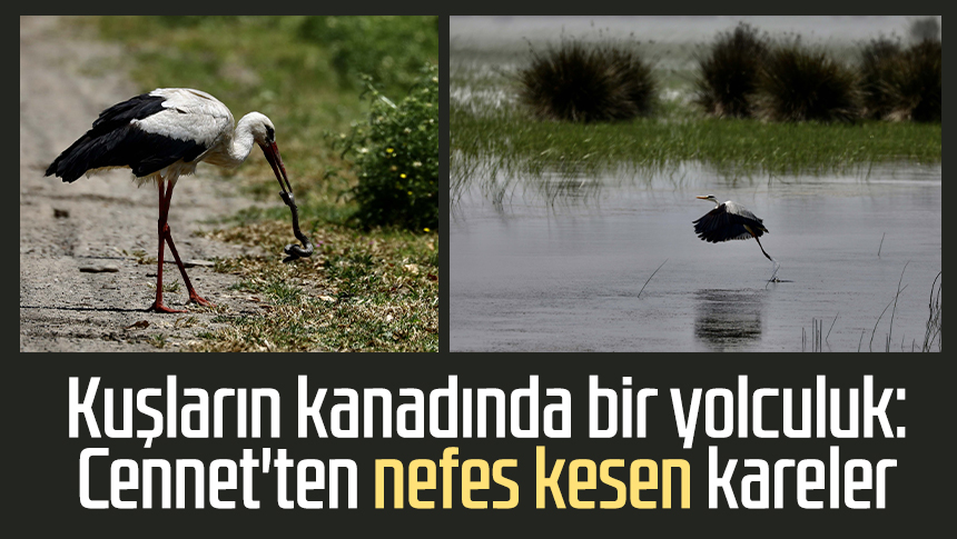 Kuşların kanadında bir yolculuk: Cennet'ten nefes kesen kareler