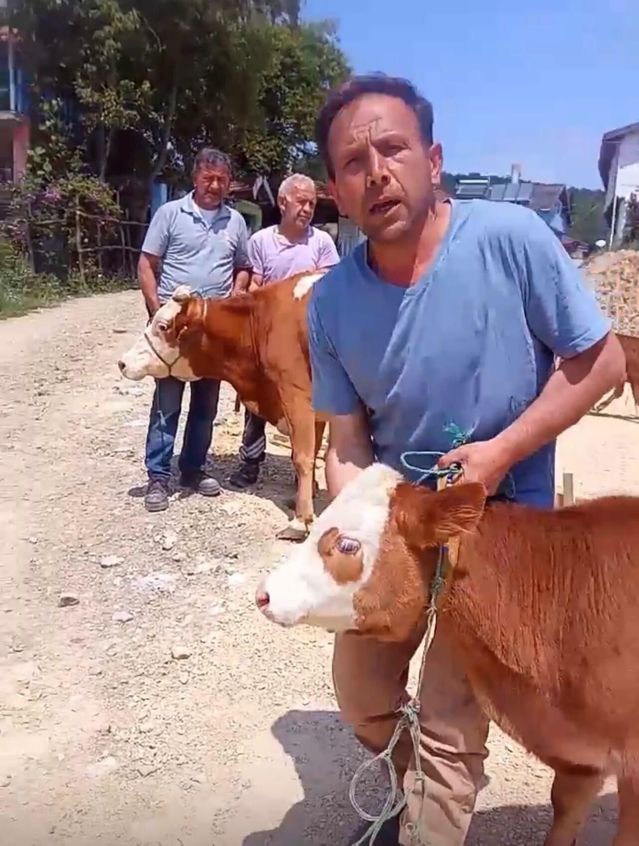 A A 20250614 38278316 38278314 L A D I K T E C A M I I N S A A T I N A V A T A N D A S L A R D A N D E S T E K