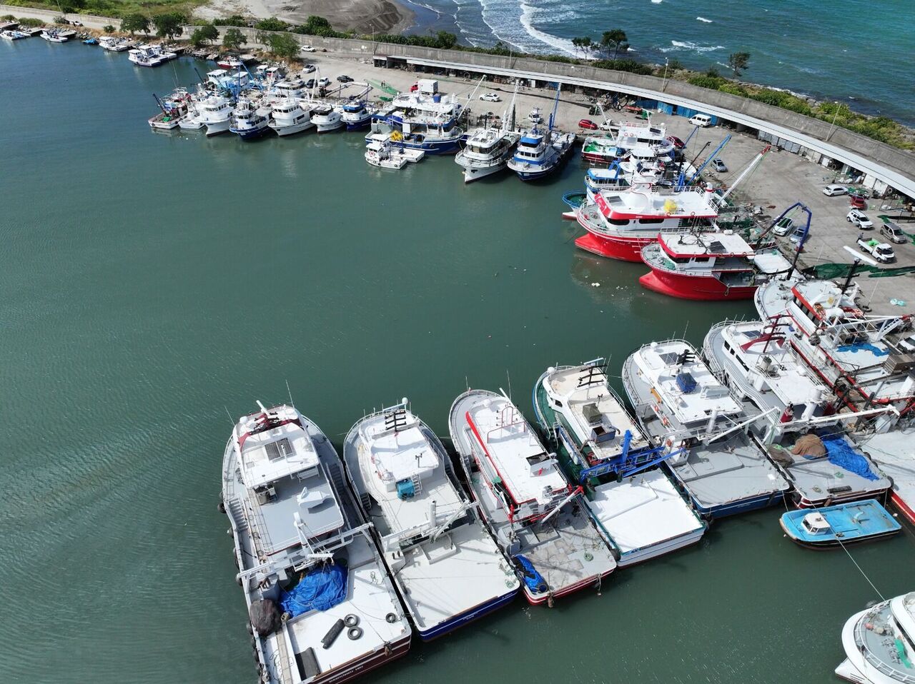 Samsun'da balıkçılar müjdeyi verdi! Bu yıl erken geldi - Samsun Haber,  Samsun Son Dakika Haberleri