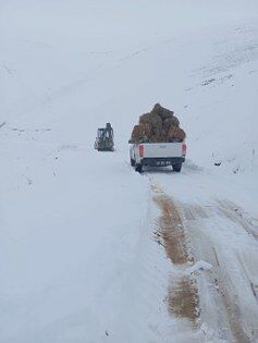 A A 20250922 39190342 39190338 T R A B Z O N D A K A R N E D E N I Y L E Y A Y L A D A M A H S U R K A L A N 8 K I S I K U R T A R I L D I 237X315