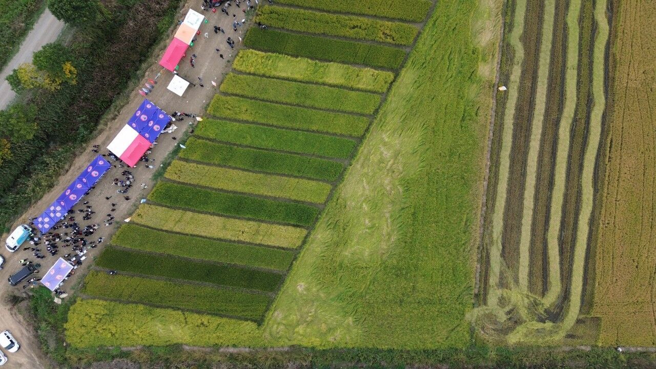 A A 20250929 39258604 39258601 B A F R A O V A S I N D A 11 C E L T I K H A S A T G U N U D U Z E N L E N D I 1280X720