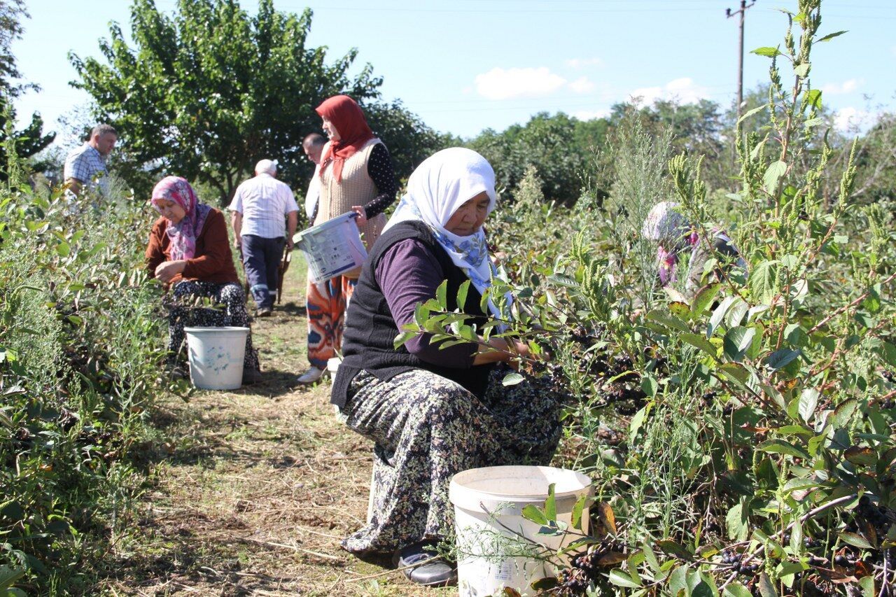 A W543857 01 1280X853