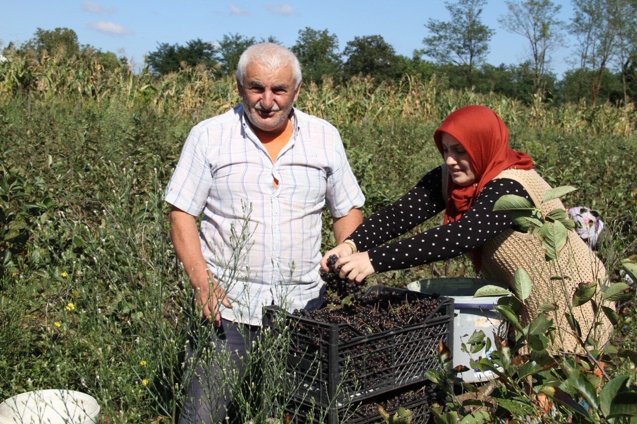 A W543857 02 1280X853