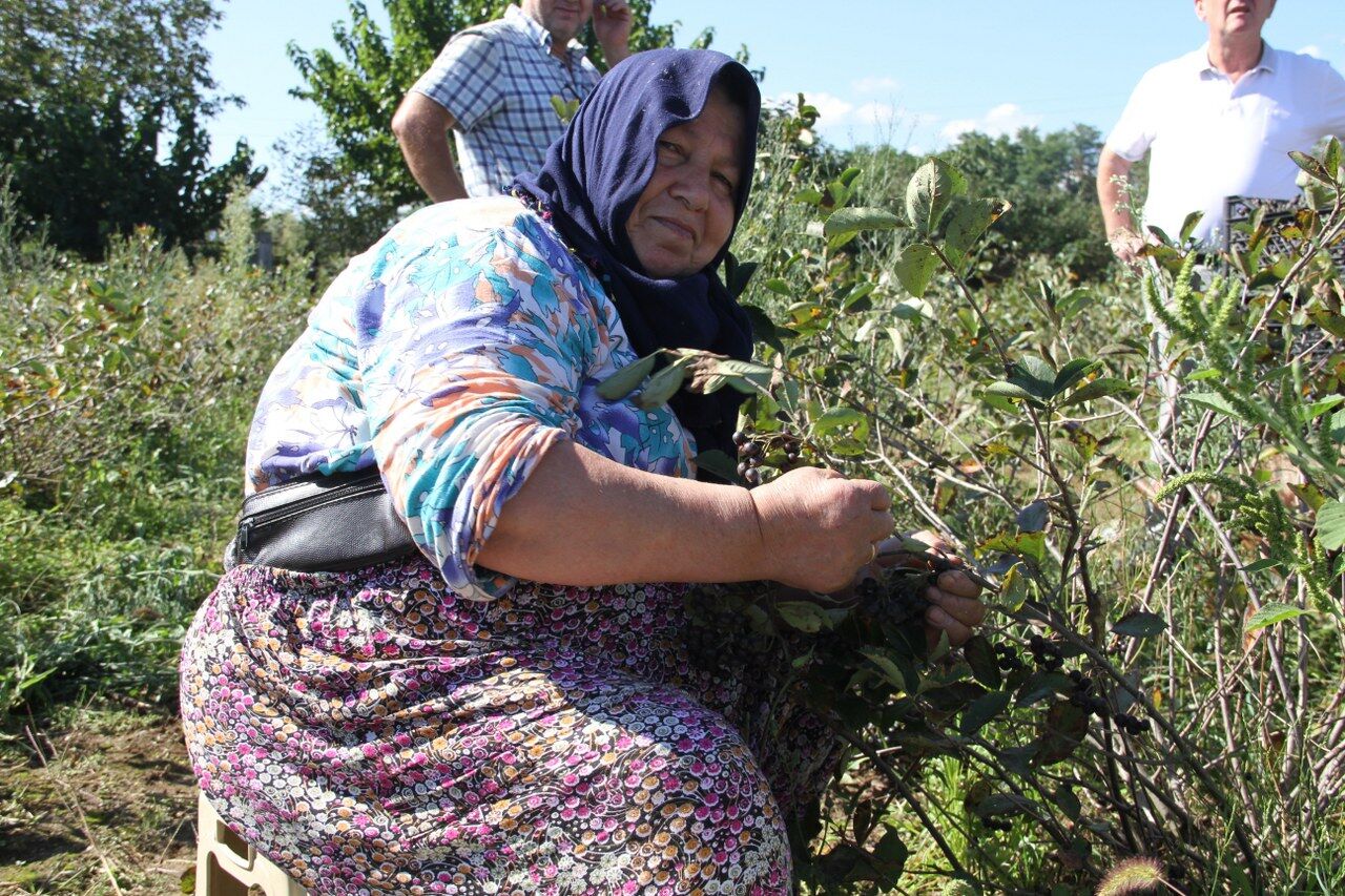 A W543857 03 1280X853