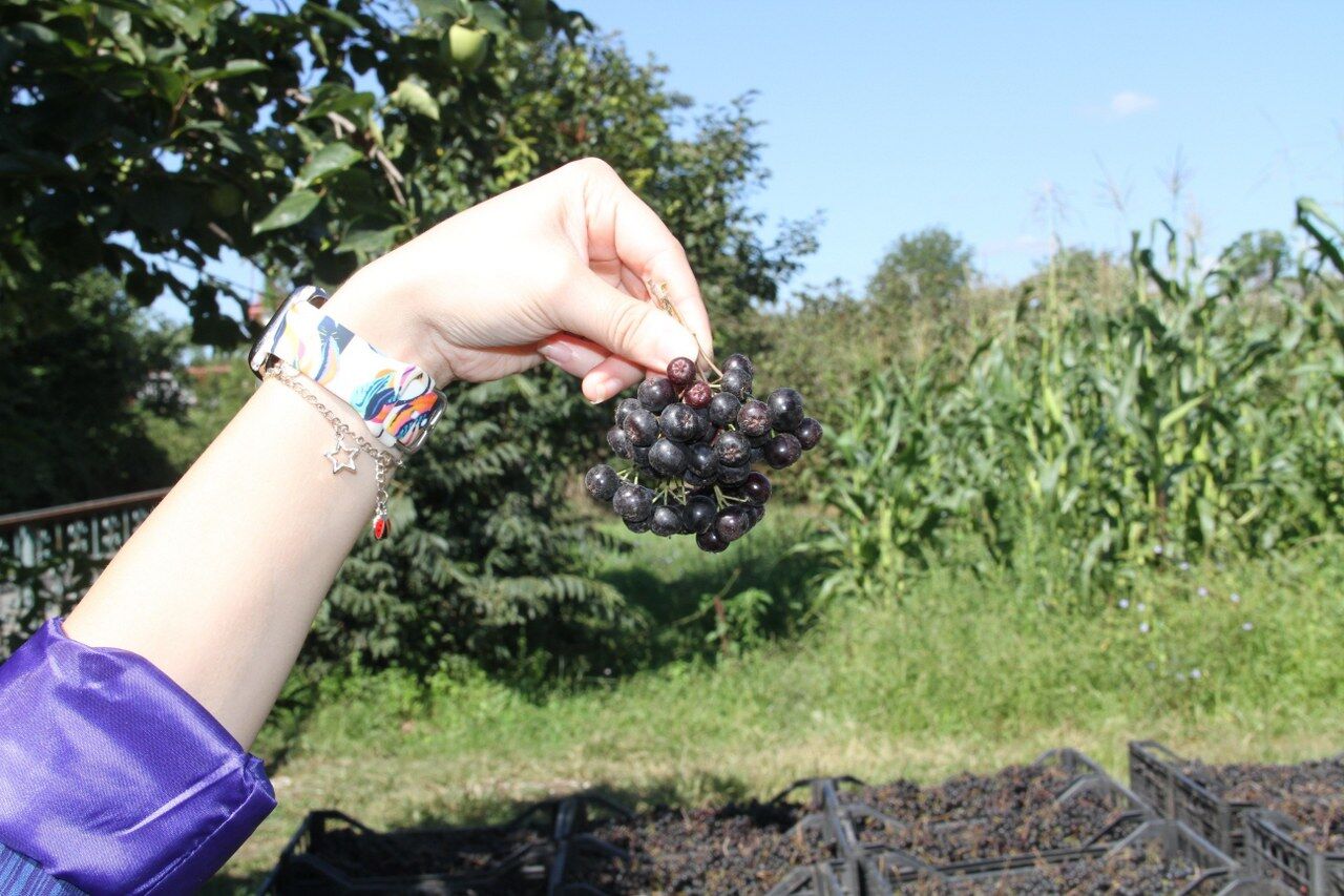 A W543857 04 1280X853