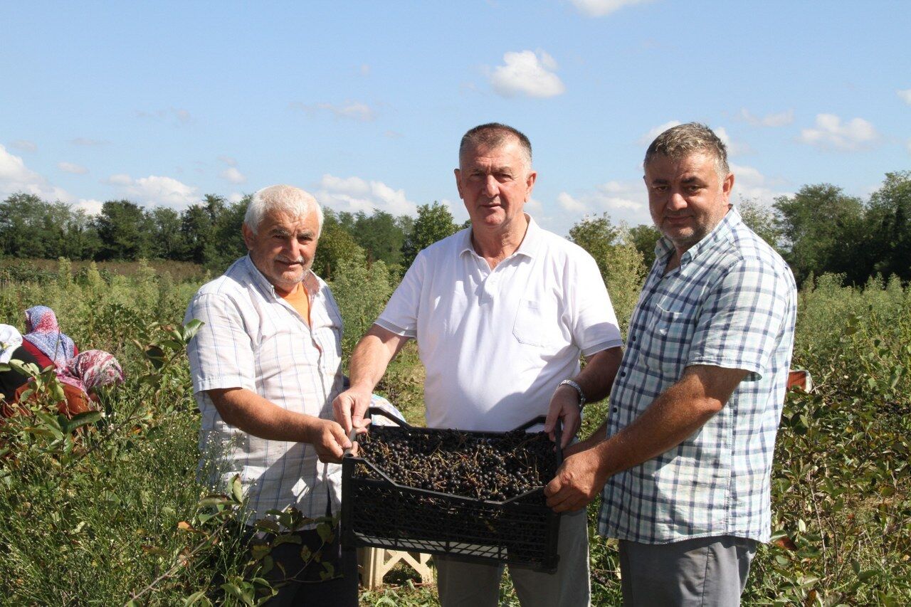 A W543857 05 1280X853