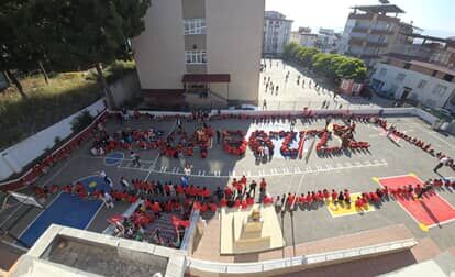 553040384 2635000726853932 3939611913848882176 N