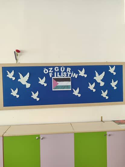 553599667 869630382064773 634804645203324489 N