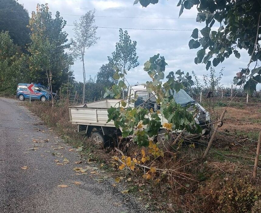 Samsun'da korkutan kaza: Bahçe çitlerine çarparak durdu