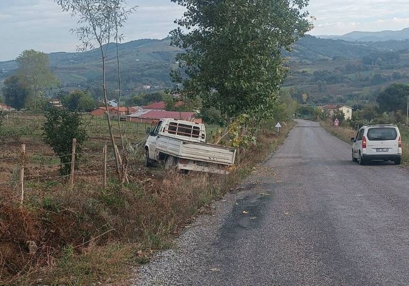 Samsun'da korkutan kaza: Bahçe çitlerine çarparak durdu