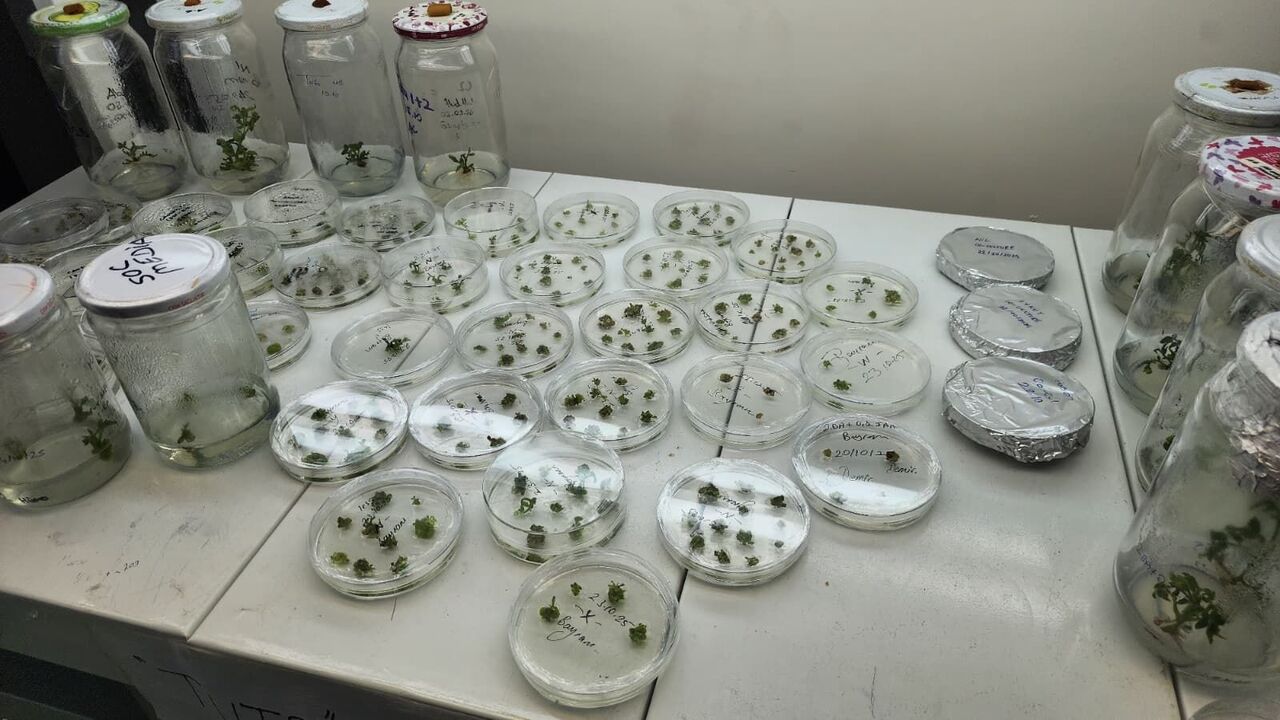 OMÜ'nün o projesine TÜBİTAK'tan destek!