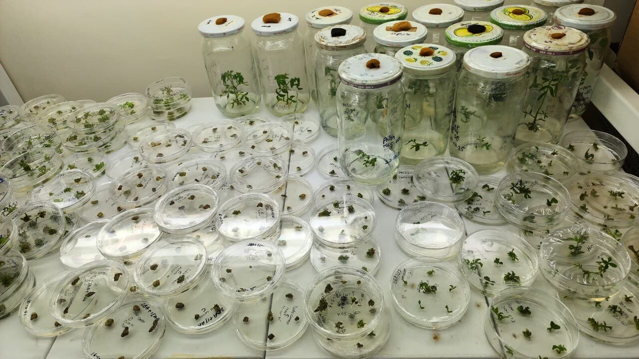 OMÜ'nün o projesine TÜBİTAK'tan destek!