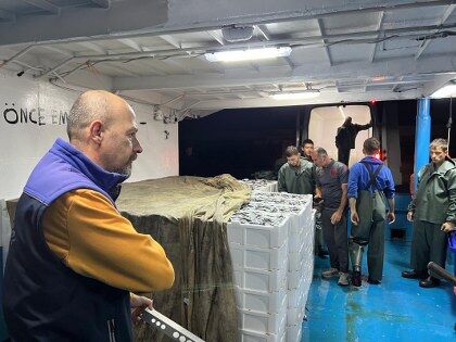 Samsun'da avlanan balıklar mercek altında!