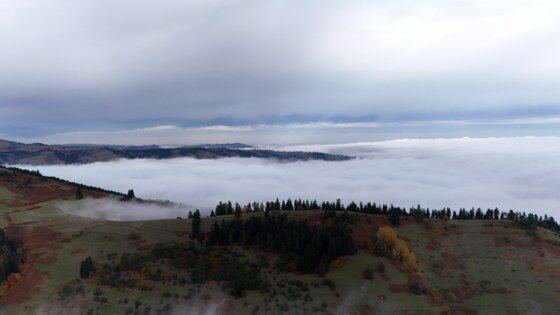 Alaçam'ın zirvesinde doğa harikası: Sis denizi