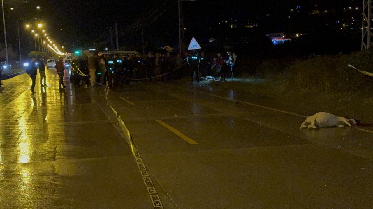 A W549947 03 1280X720