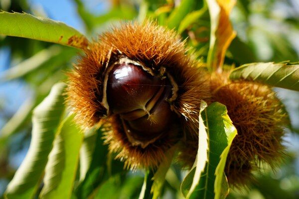 A W553084 01 600X400