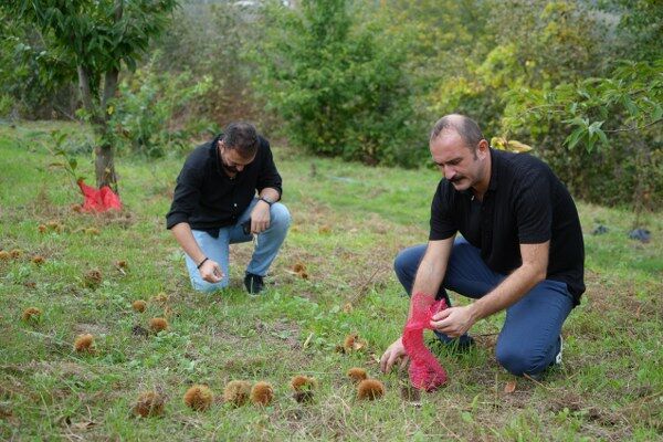 A W553084 03 600X400