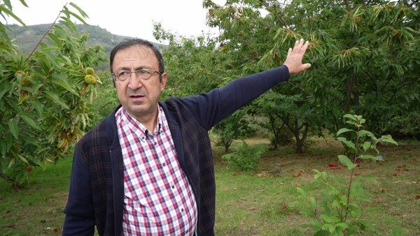 A W553084 04 600X338