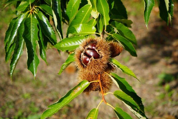 A W553084 05 600X400