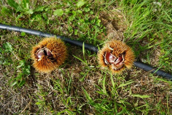 A W553084 06 600X400