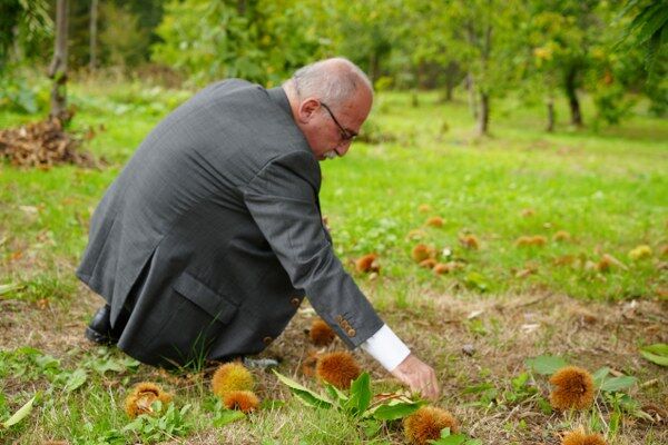 A W553084 07 600X400