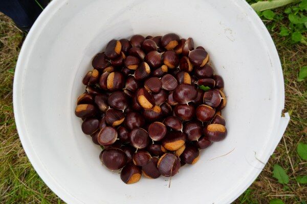 A W553084 08 600X400