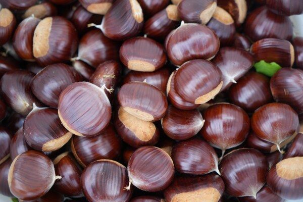 A W553084 09 600X400