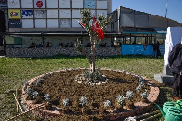 A W553904 01 600X400