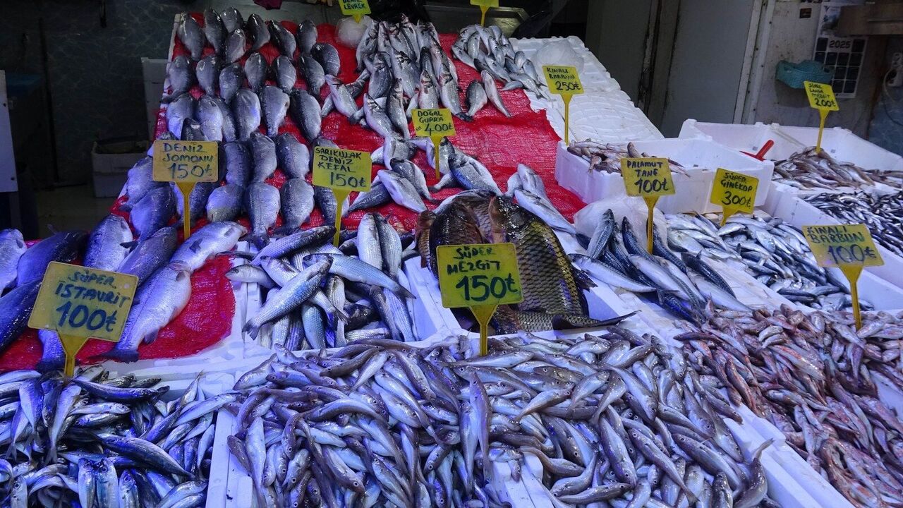 A W561452 02 1600X900