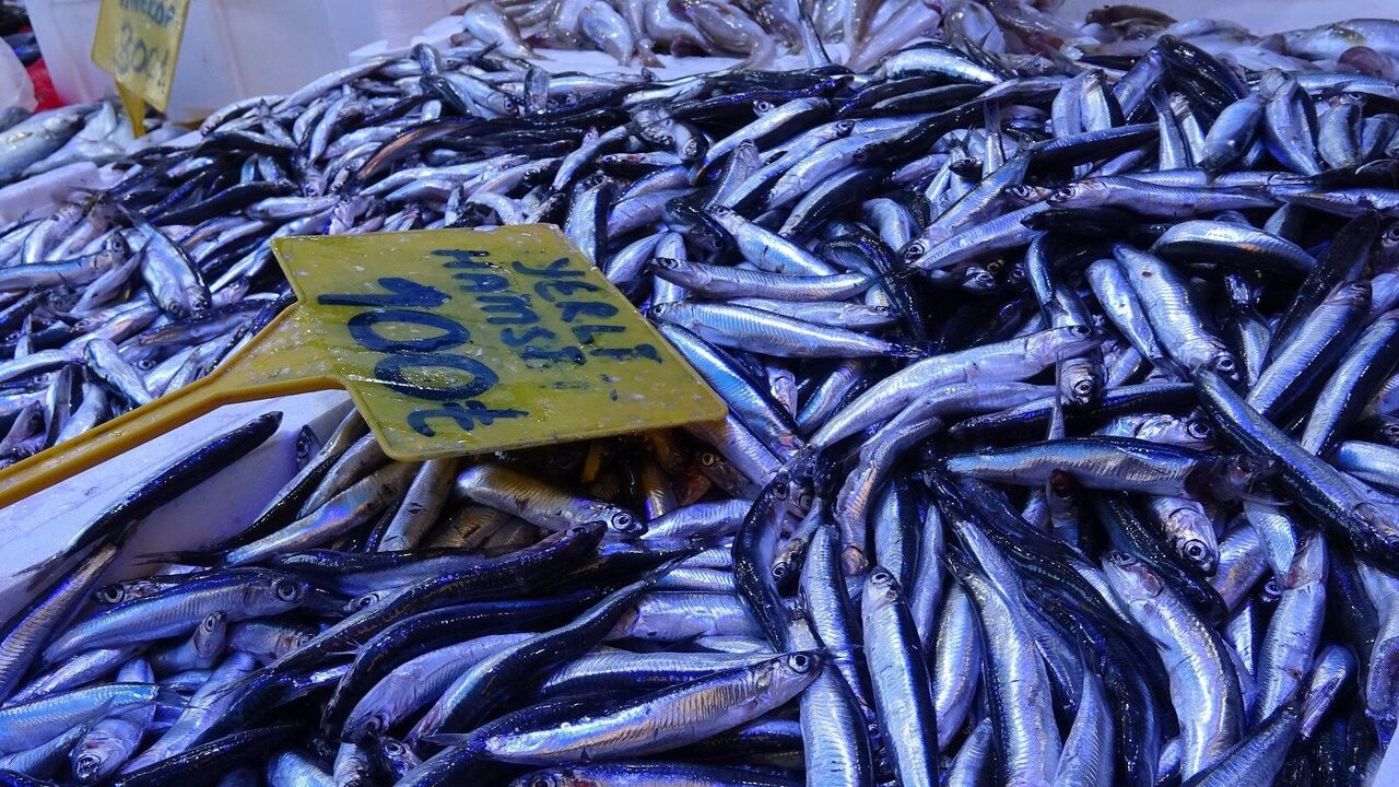 A W561452 03 1600X900