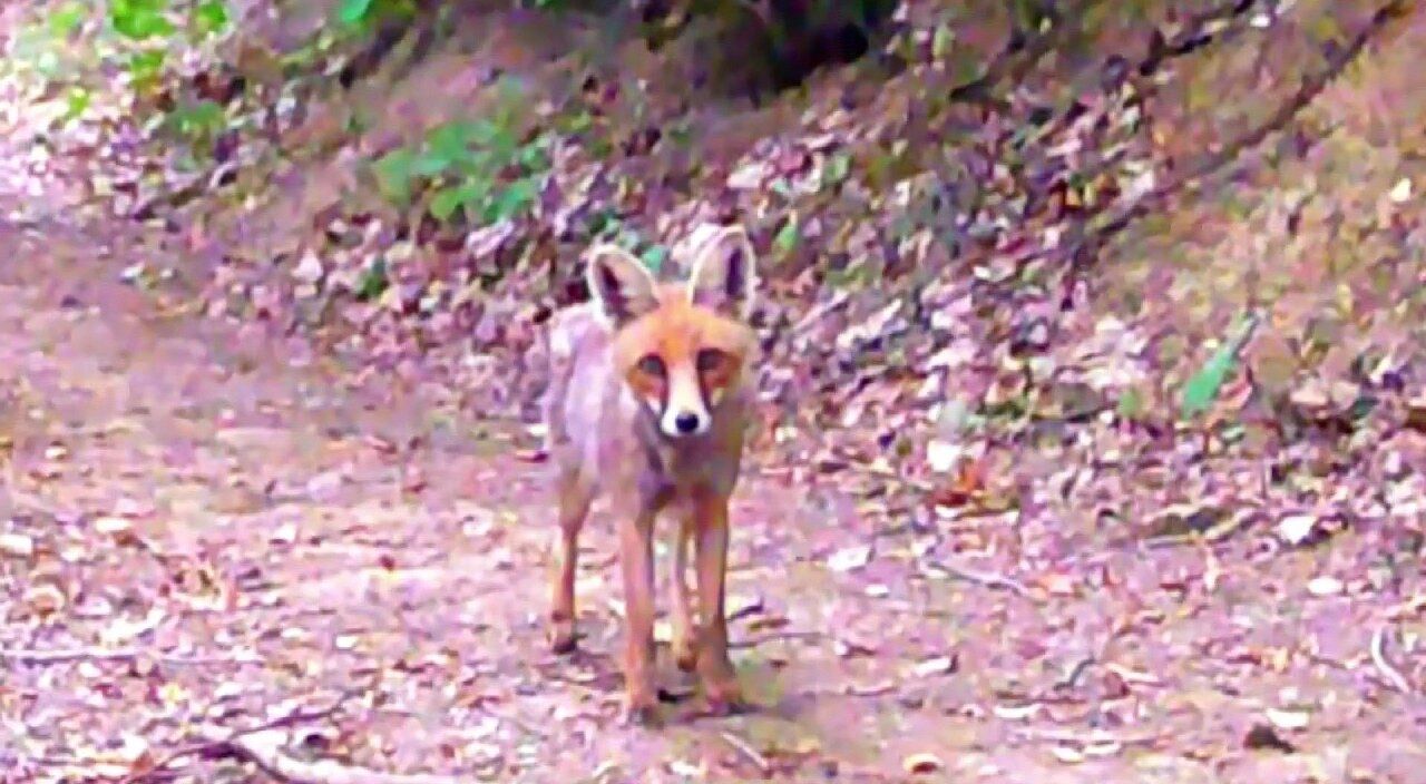 A W563088 01 1280X704