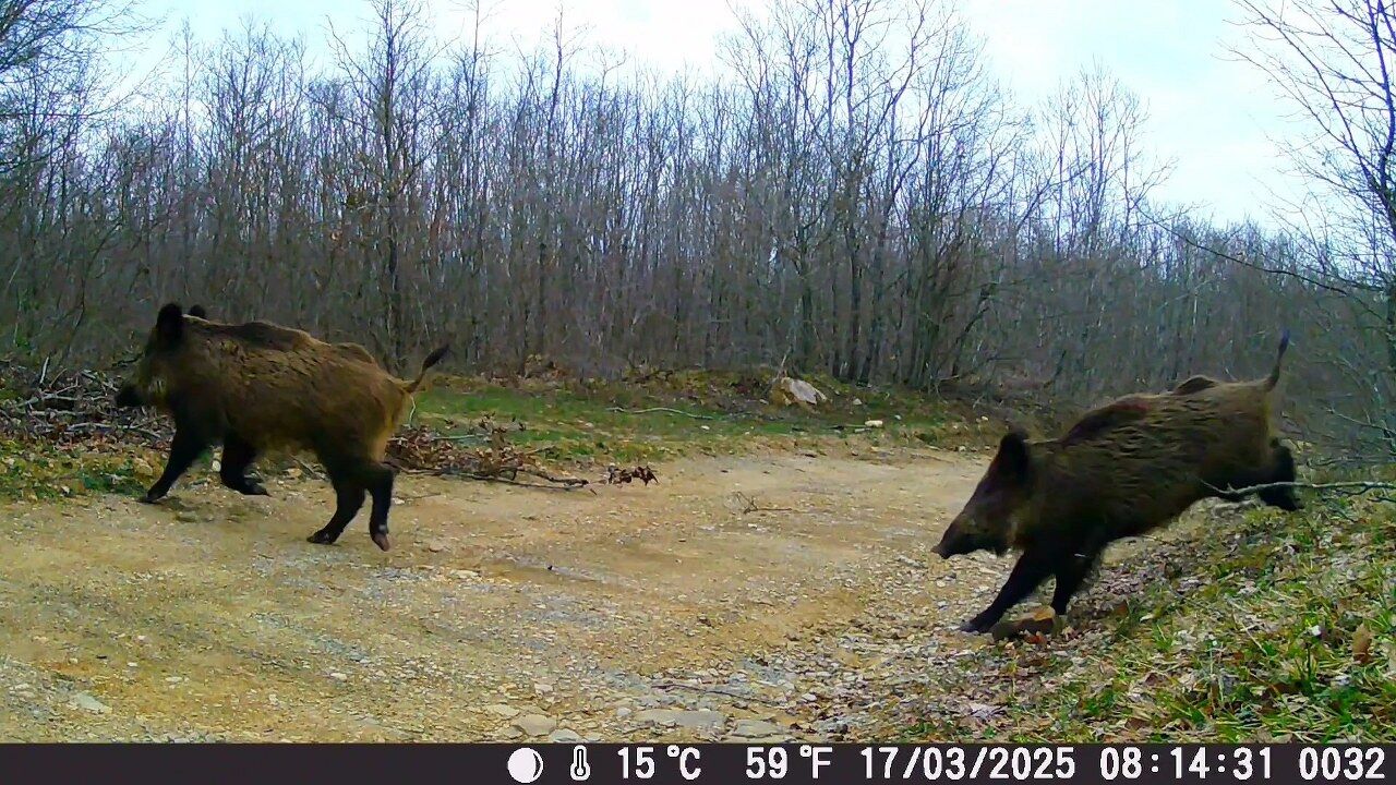 A W563088 04 1280X720