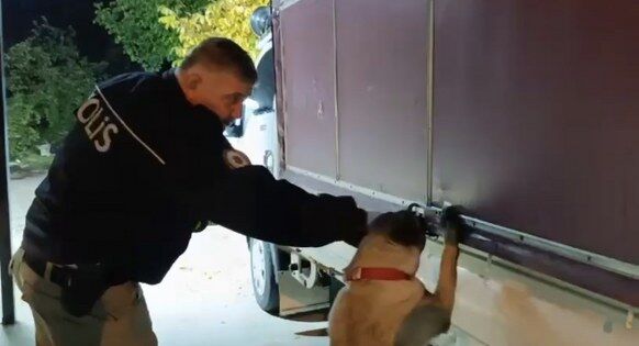 Samsun'a taşıyordu! Zehir sevkiyatına "Şila" darbesi!