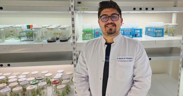 Samsun'da yeni domatesler için harekete geçildi